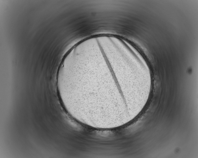 X0000100401129200807032007