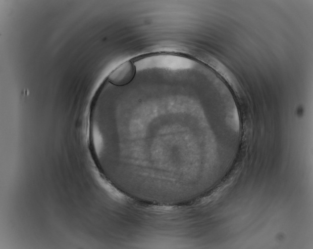 X0000100401132200807032007