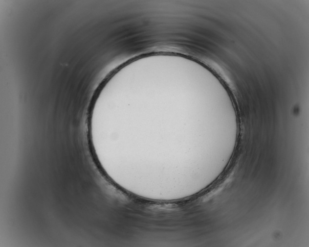 X0000100401133200807032007