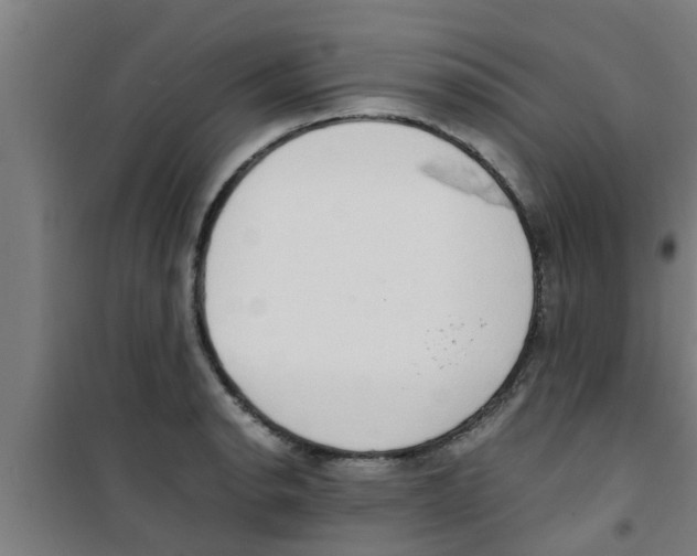 X0000100401134200807032007
