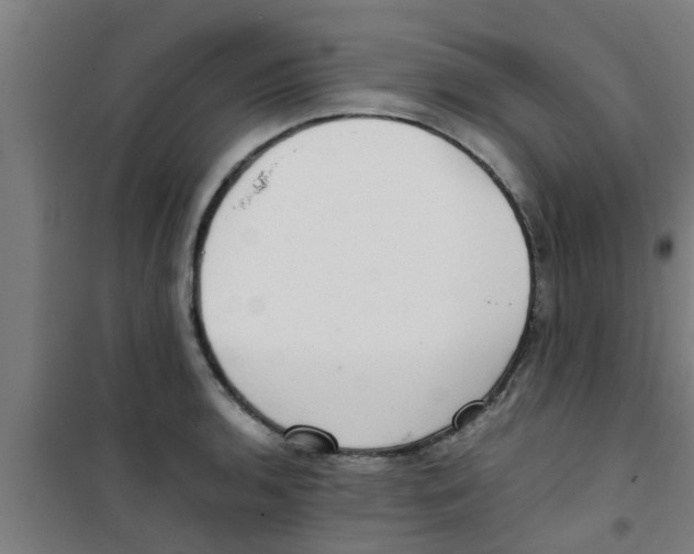 X0000100401136200807032007