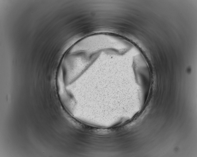X0000100401137200807032007