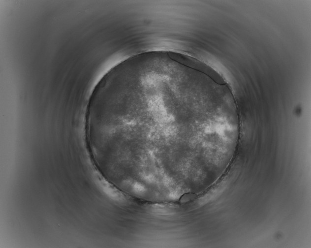 X0000100401138200807032007