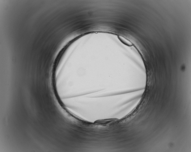 X0000100401139200807032007