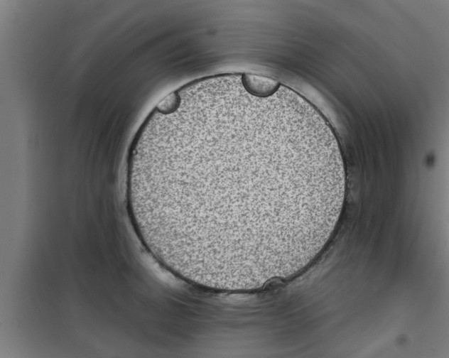 X0000100401140200807032007