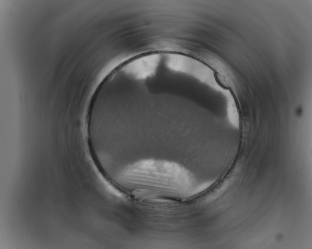 X0000100401141200807032007