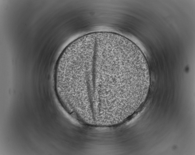 X0000100401142200807032007