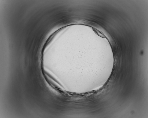 X0000100401143200807032007