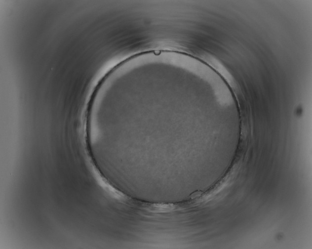 X0000100401144200807032007