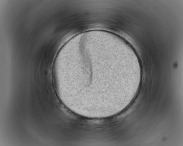 X0000100401145200807032007