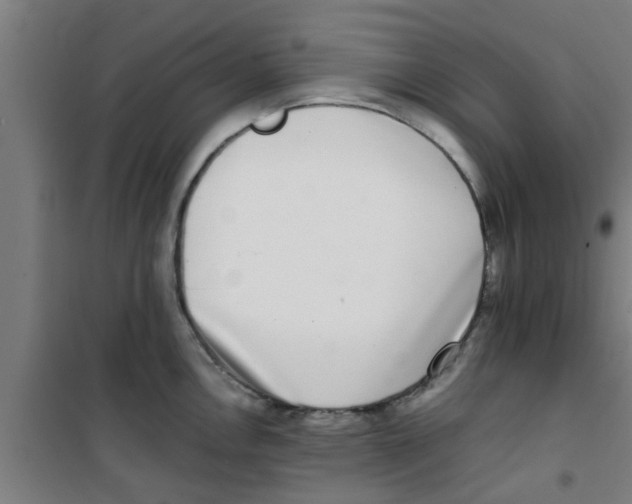 X0000100401146200807032007