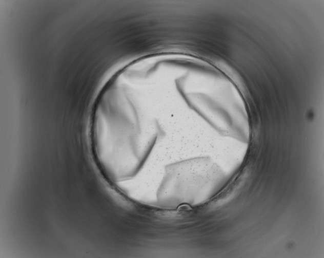 X0000100401149200807032007