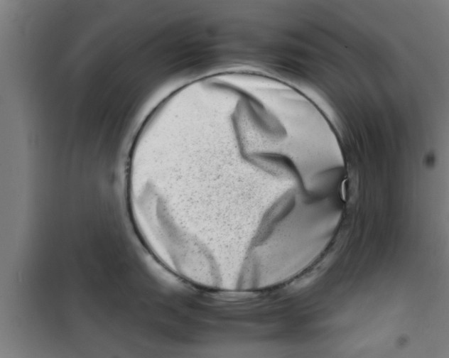 X0000100401151200807032007