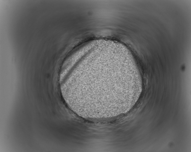 X0000100401153200807032006