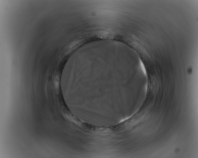 X0000100401154200807032006