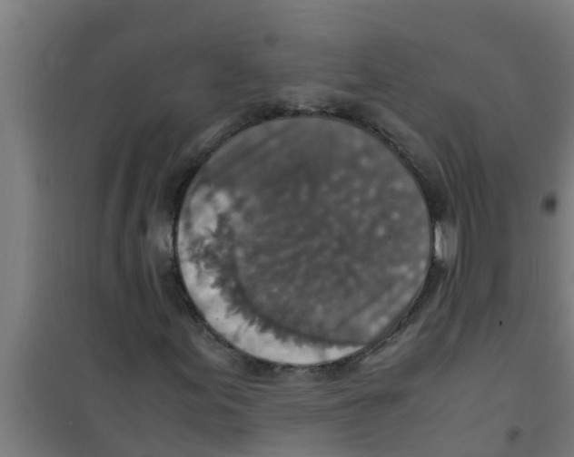 X0000100401155200807032006