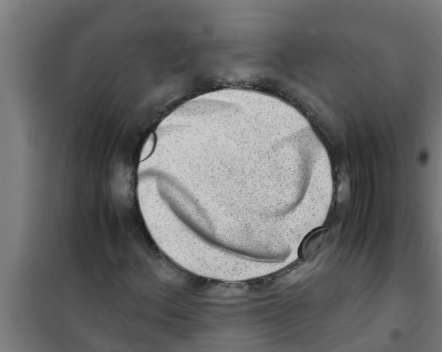 X0000100401156200807032006