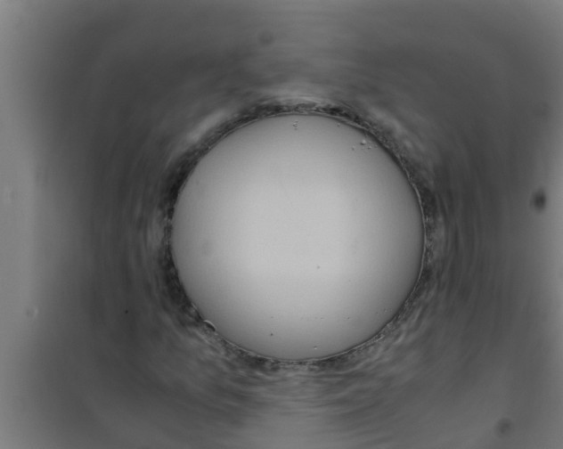 X0000100401157200807032006