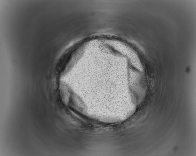 X0000100401159200807032006
