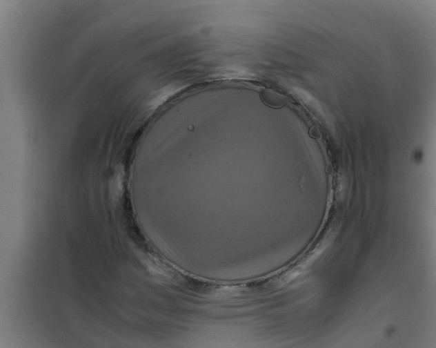 X0000100401161200807032006