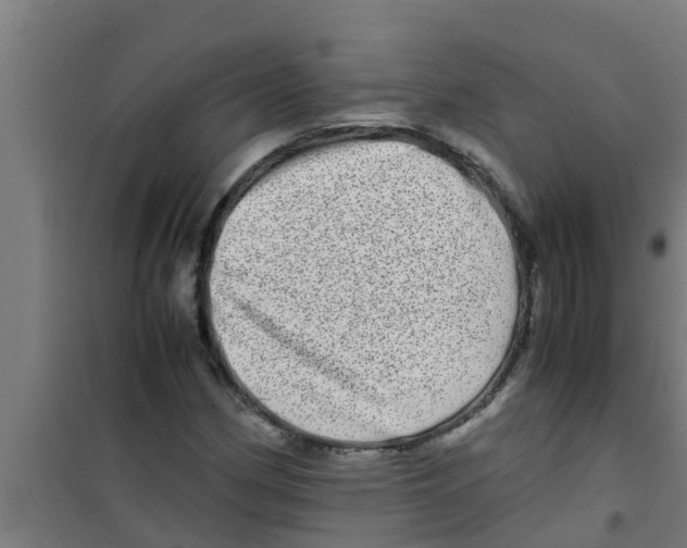 X0000100401162200807032006
