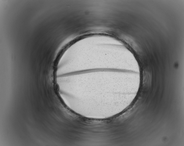 X0000100401164200807032006