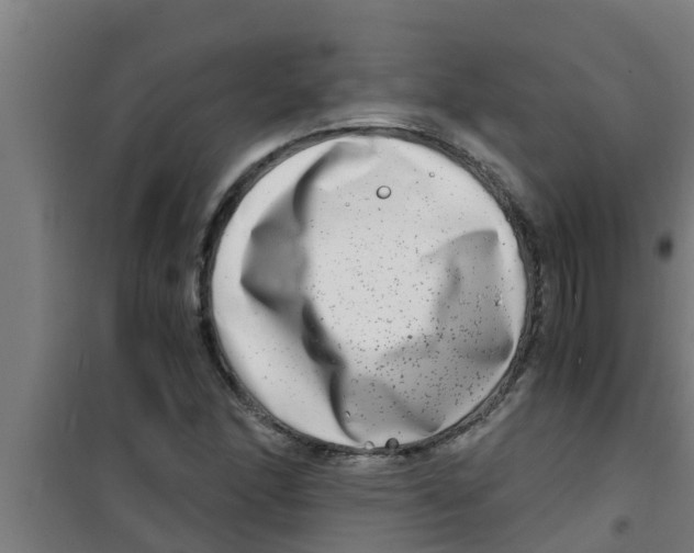 X0000100401166200807032006