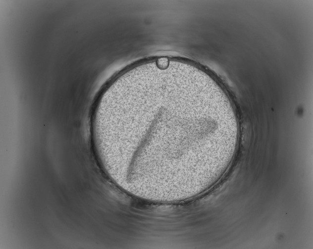 X0000100401167200807032006