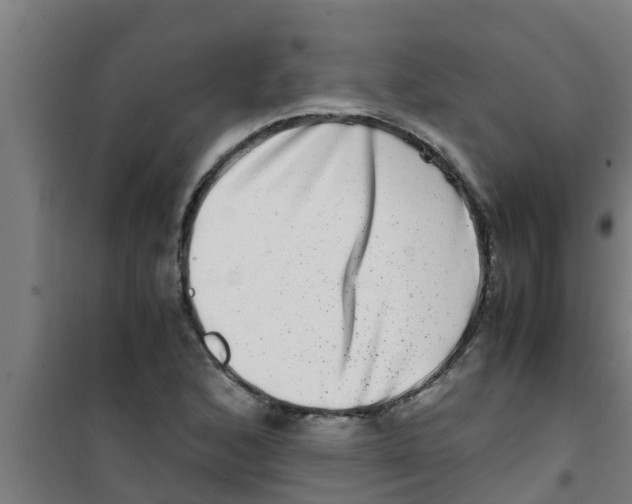 X0000100401168200807032006