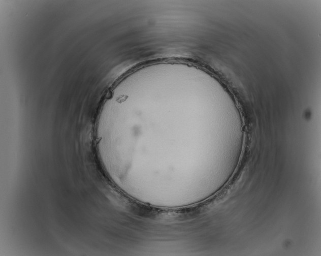 X0000100401169200807032006