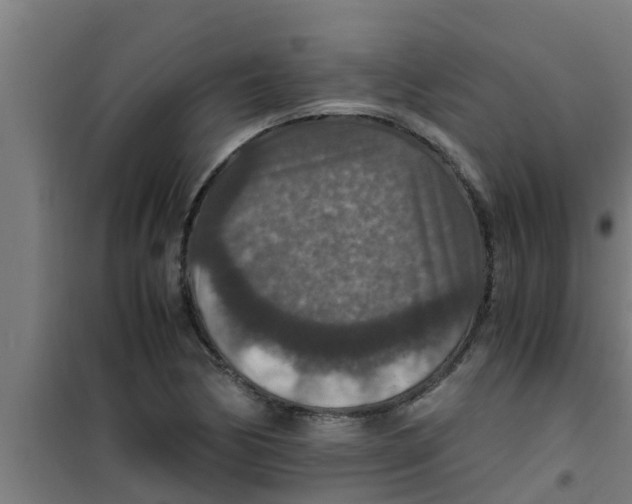 X0000100401170200807032006