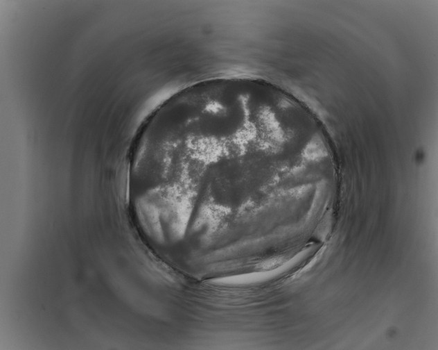 X0000100401171200807032006