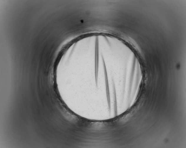 X0000100401172200807032006