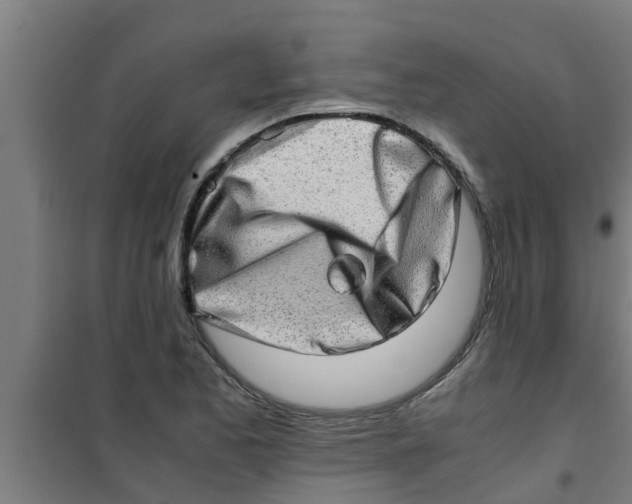 X0000100401173200807032006