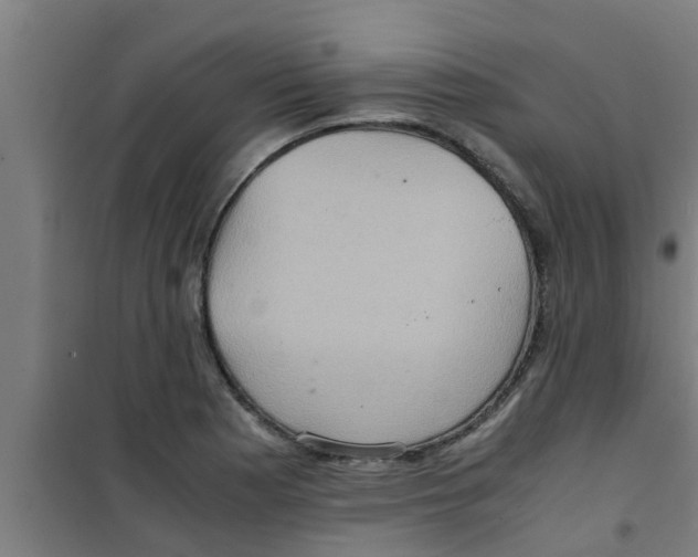 X0000100401177200807032006