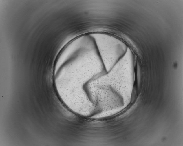 X0000100401178200807032006
