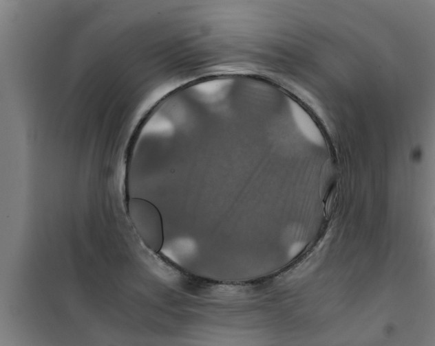 X0000100401179200807032006