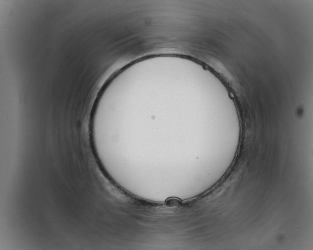 X0000100401181200807032006