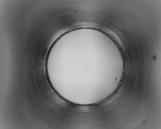 X0000100401182200807032006