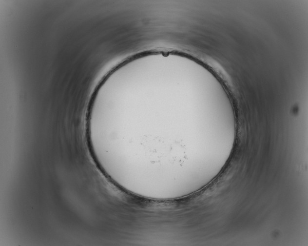 X0000100401183200807032006