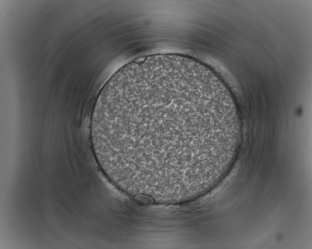 X0000100401185200807032006
