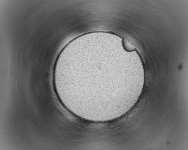 X0000100401187200807032006