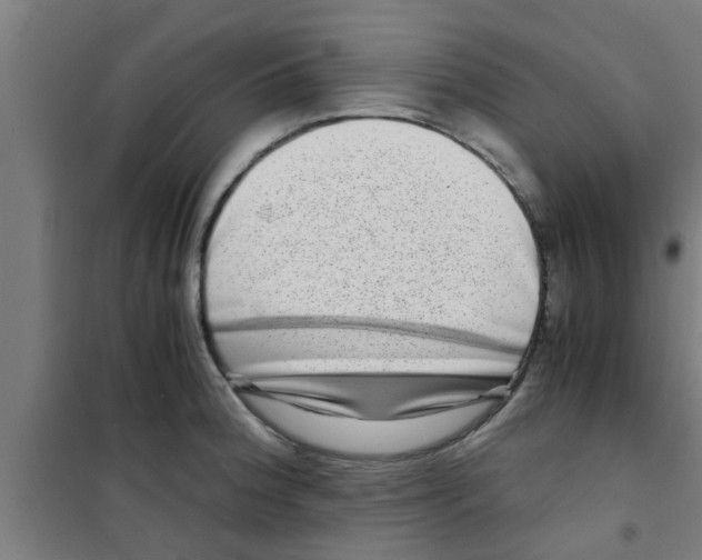 X0000100401188200807032006