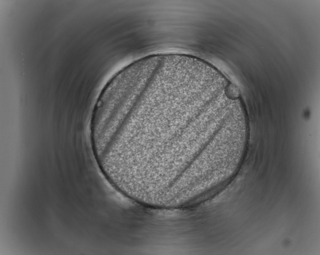 X0000100401189200807032006