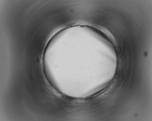 X0000100401190200807032006