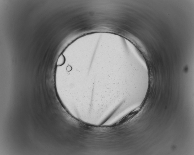 X0000100401192200807032006