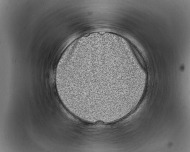 X0000100401193200807032006