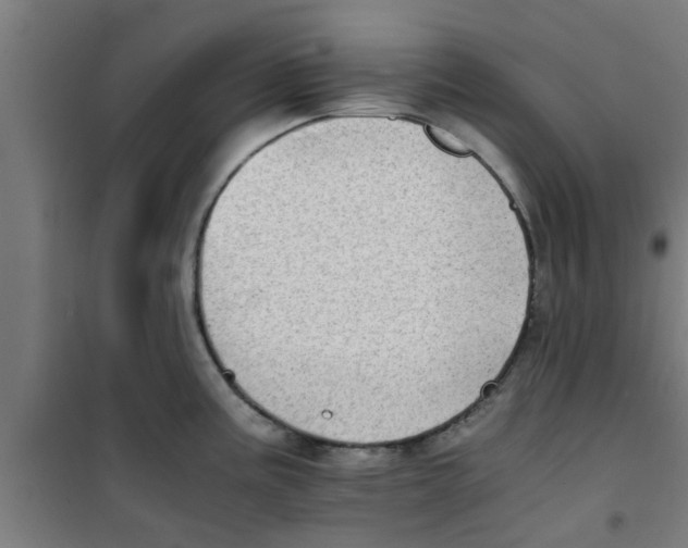 X0000100401195200807032006