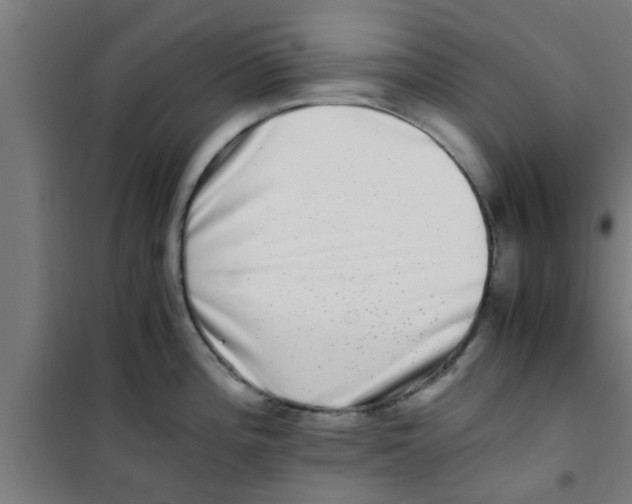 X0000100401196200807032006