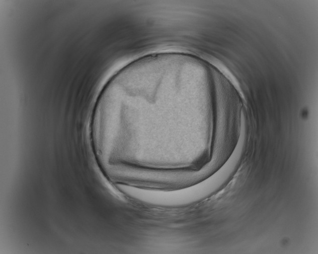 X0000100401197200807032006